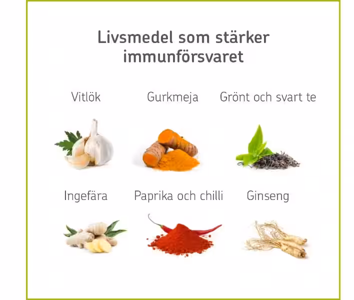 Styrk dit Immunforsvar med Næringsrige Fødevarer