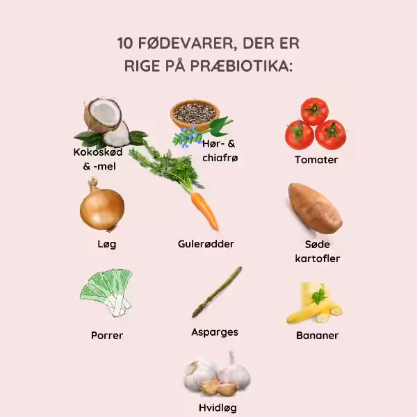 Opdag den fantastiske verden af probiotiske fødevarer